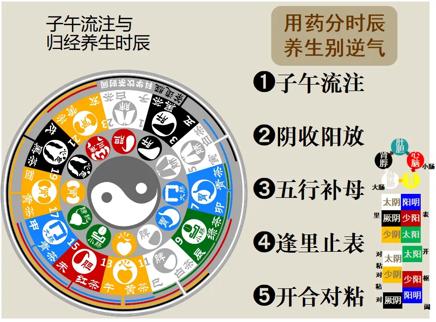 服药时辰图示